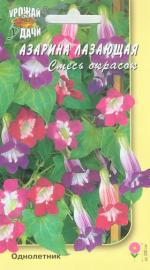 Азарина   лазающая   СМЕСЬ ОКРАСОК