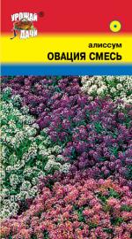 Алиссум  ОВАЦИЯ   СМЕСЬ 