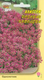 Алиссум   РОЗОВАЯ КОРОЛЕВА