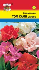Бальзамин   ТОМ САМБ  смесь