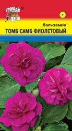Бальзамин   ТОМБ САМБ ФИОЛЕТОВЫЙ