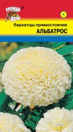 Бархатцы   АЛЬБАТРОС   прямостоячие