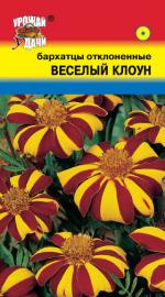 Бархатцы   ВЕСЕЛЫЙ КЛОУН   отклоненные