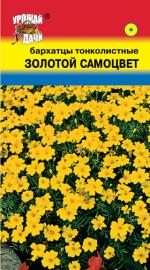 Бархатцы   ЗОЛОТОЙ САМОЦВЕТ   тонколистные