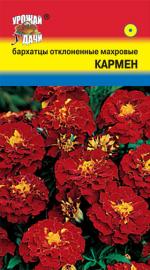 Бархатцы   КАРМЕН   отклоненные