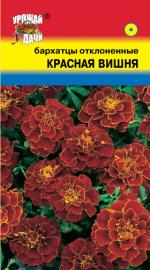 Бархатцы   КРАСНАЯ ВИШНЯ   отклоненные