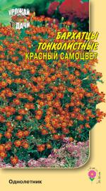 Бархатцы   КРАСНЫЙ САМОЦВЕТ   тонколистные