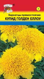 Бархатцы  КУПИД ГОЛДЕН ЕЛЛОУ   прямостоячие