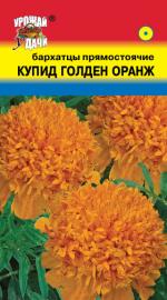 Бархатцы  КУПИД ГОЛДЕН ОРАНЖ   прямостоячие