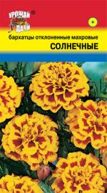 Бархатцы   СОЛНЕЧНЫЕ   отклоненные