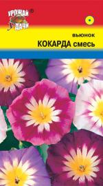 Вьюнок   КОКАРДА  СМЕСЬ ОКРАСОК