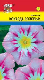 Вьюнок  КОКАРДА РОЗОВЫЙ