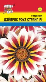 Гацания  ДЭЙБРИК РОУЗ СТРАЙП F1