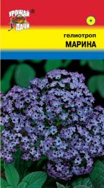 Гелиотроп   МАРИНА