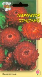 Гелихризум   КРАСНЫЙ