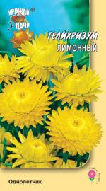 Гелихризум   ЛИМОННЫЙ
