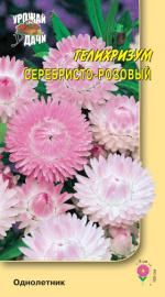 Гелихризум   СЕРЕБРИСТО-РОЗОВЫЙ