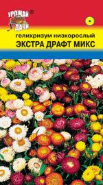 Гелихризум   ЭКТРА ДРАФТ МИКС  НИЗКОРОСЛЫЙ