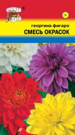 Георгина   Фигаро   СМЕСЬ ОКРАСОК