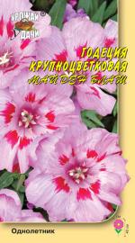 Годеция   крупноцветковая   МАЙДЕН БЛАНШ