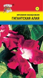 Ипомея   ГИГАНТСКАЯ АЛАЯ   махровая