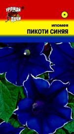 Ипомея  ПИКОТИ СИНЯЯ