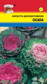 Капуста декоративная ОСАКА СМЕСЬ