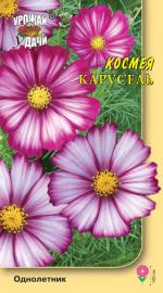 Космея КАРУСЕЛЬ
