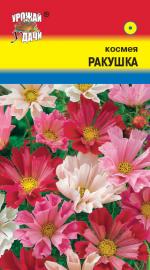 Космея РАКУШКА СМЕСЬ