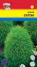Кохия СУЛТАН