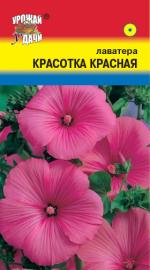 Лаватера КРАСОТКА КРАСНАЯ