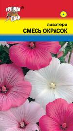 Лаватера   СМЕСЬ ОКРАСОК