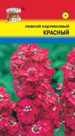 Левкой   карликовый   КРАСНЫЙ