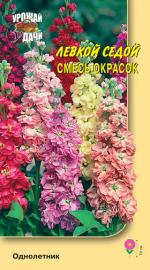 Левкой   седой  ГИГАНТ СМЕСЬ ОКРАСОК