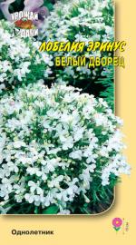 Лобелия   ДВОРЕЦ БЕЛЫЙ   эринус