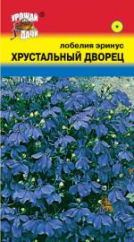 Лобелия  ХРУСТАЛЬНЫЙ  ДВОРЕЦ  эринус