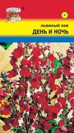 Львиный зев   ДЕНЬ И НОЧЬ