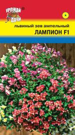 Львиный зев   ампельный   ЛАМПИОН F1