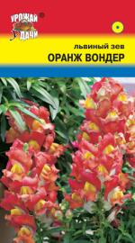 Львиный зев   ОРАНЖ ВОНДЕР