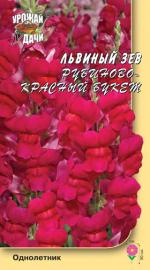 Львиный зев   РУБИНОВО-КРАСНЫЙ БУКЕТ