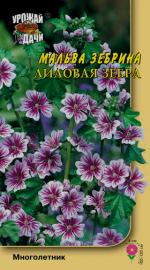 Мальва   зебрина   ЛИЛОВАЯ ЗЕБРА