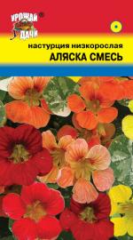 Настурция   низкорослая   АЛЯСКА СМЕСЬ