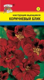 Настурция  КОРИЧНЕВЫЙ  БЛИК  вьющаяся