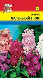 Левкой   МАЛЕНЬКИЙ ГНОМ