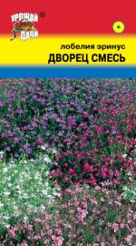 Лобелия   ДВОРЕЦ СМЕСЬ   эринус