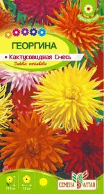 георгина кактусовидная смесь