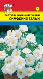 портулак симфония белый крупноцветковый