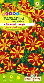 бархатцы веселый клоун