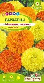 бархатцы махровые гиганты