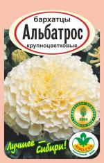 бархатцы альбатрос